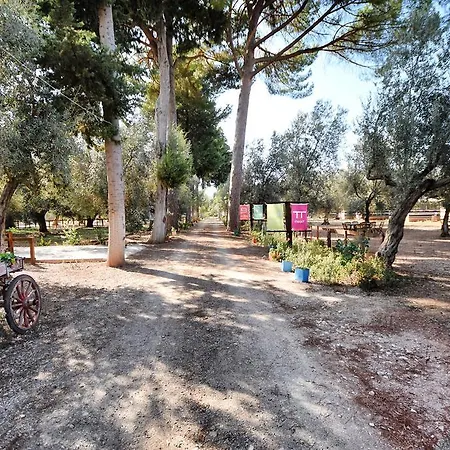 Villa Gokce *